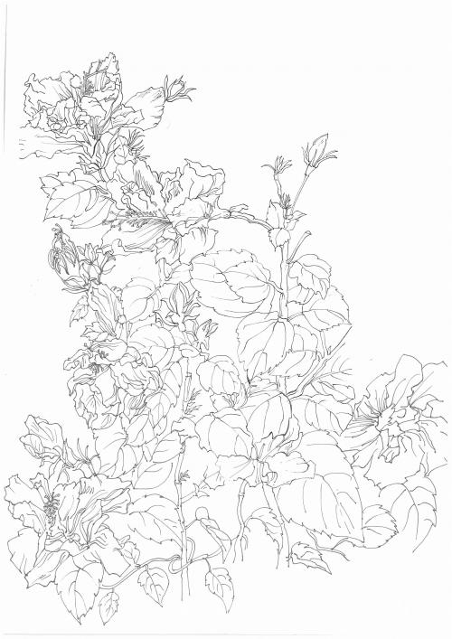 史塔克州立技术学院 Art diploma